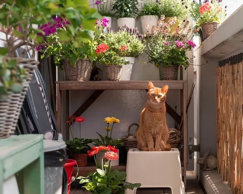 Jak urządzić balkon: 10 inspirujących pomysłów na małe i duże przestrzenie